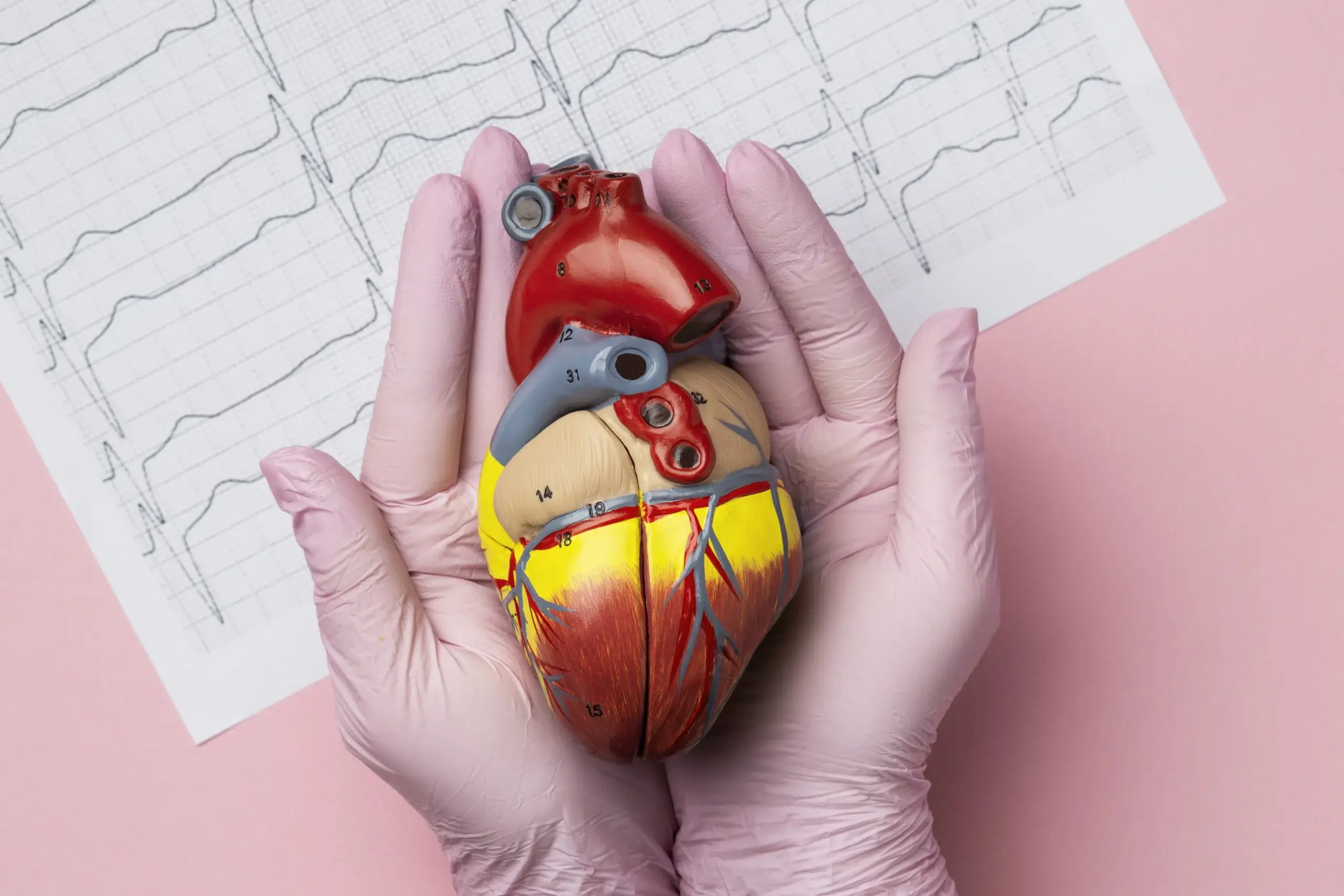 Heart Diseases